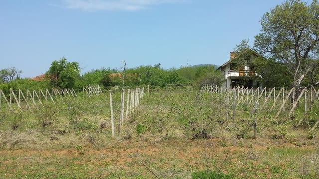 Вила с имот 2, 5 дка в началото на белоградчишките скали, city of Belogradchik - снимка 5