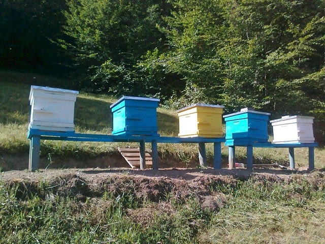 Кошери -ДБ , ЛР , Фарар - град Якоруда | Пчеларство - снимка 1