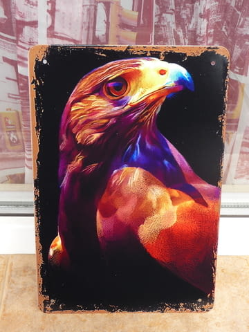 Метална табела орел сокол граблива птица царят на въздуха, град Радомир | Картини - снимка 1