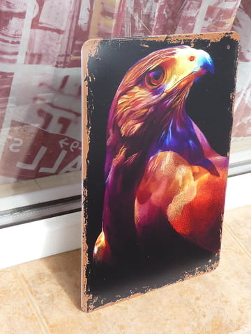 Метална табела орел сокол граблива птица царят на въздуха, град Радомир | Картини - снимка 2