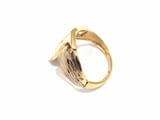 Златен пръстен: 2.68гр.