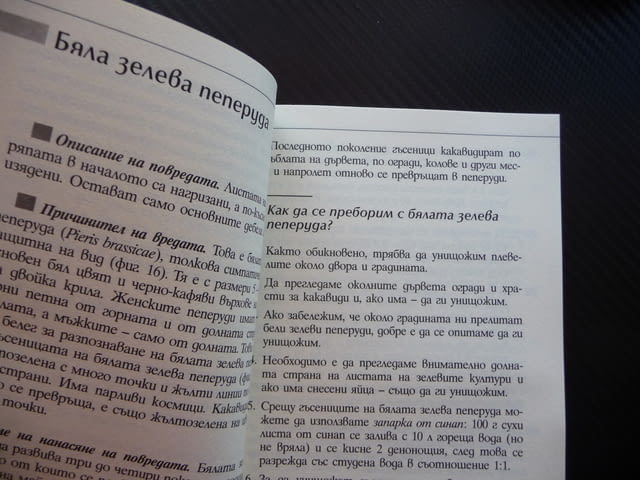 Колорадски бръмбар, неприятели и болести в зеленчуковата градина Мария Янакиева - снимка 3