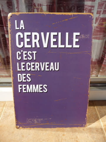 Метална табела надпис за мозъка на жените мозъци френски език - снимка 1