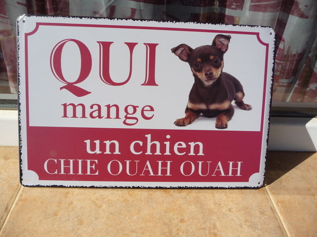 Метална табела надпис куче чихуахуа малко кутре кученце сладко - снимка 1