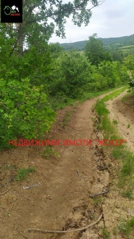 Парцел - главен път В.Търново - Габрово 7297 m2, Land - village Zaia | Land - снимка 6