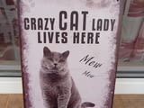 Метална табела Crazy Cat Lady lives here лудата женска котка живее тук мяу
