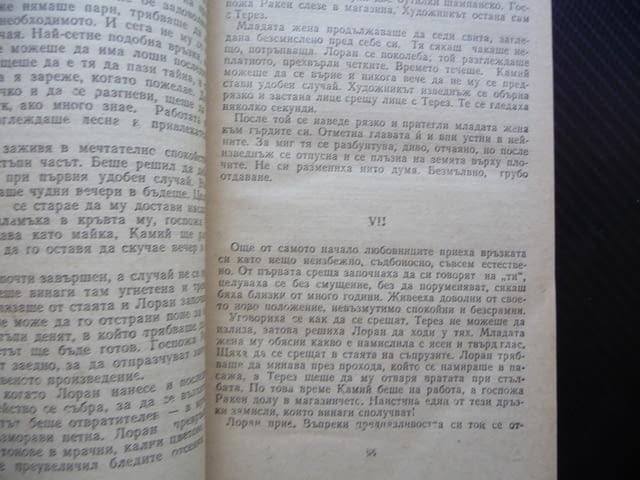 Терез Ракен Емил Зола класика роман прочитна книга четиво, city of Radomir - снимка 2