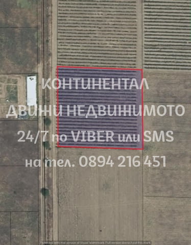 Код 62500. Лозе 5000м2, кат. 4-та, с правилна форма, близо до ток, на 250м. от асфалт с лесен достъп