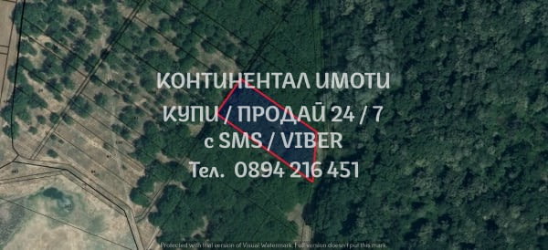 Кодг 62679. Две орехови градини - 5дка на около 250м една от друга и с достът пряк достъп от шосето - снимка 3