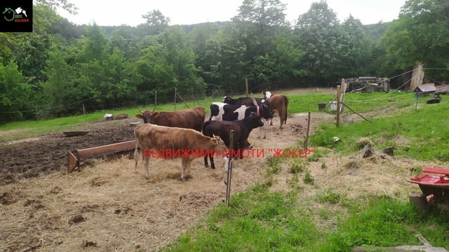 Парцел в регулация - село Габровци 2011 м2, За жил.строителство - село Габровци | Парцели / Земя - снимка 5