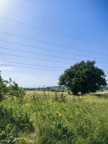 Продавам поземлен имот в гр. Перник кв. Калкас местността Умище