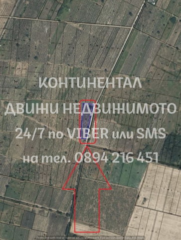 Кодг 62499. Лозе 3700м2, кат. 4-та в близост до Околовръстното /на около 800 метра/. Лозето е перфек - снимка 2