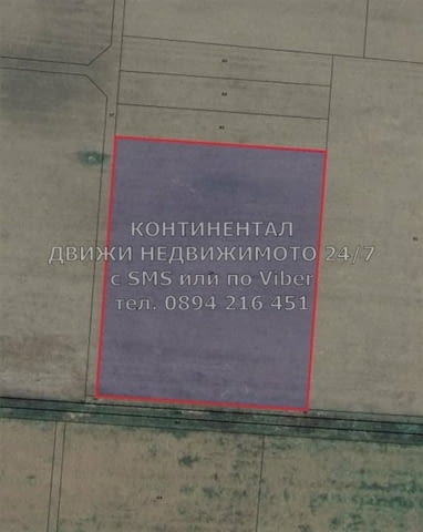 КОДо 17209. Поземлен имот 7800м2 с НТП овощна градина, кат. 5-та в мест. Гърбища. Имотът е в близост - снимка 4