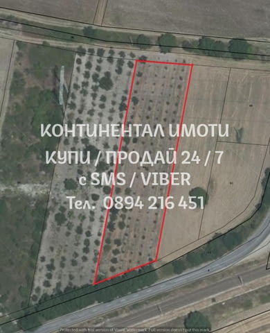 Кодг 62742. Овощна градина сливи 4150м2, кат. 4-та, в добро състояние. Градината е с лице 38м на шос - снимка 1