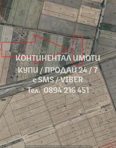 Кодг 62742. Овощна градина сливи 4150м2, кат. 4-та, в добро състояние. Градината е с лице 38м на шос - снимка 2