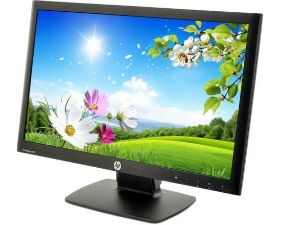 Монитор HP ProDisplay P221