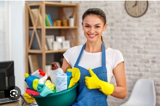 Търся домашна помощничка от цялата страна за гр.Пловдив, city of Plovdiv | Housekeepers