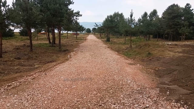 Парцел със сменен статут на Брега на яз.Батак Цигов чарк Топ място Топ Гледка - снимка 5