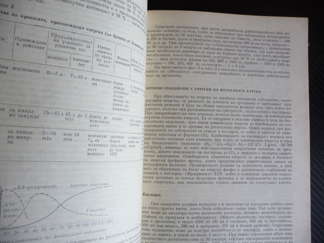 Спортна медицина Учебник за студенти по медицина мускули сила - снимка 2