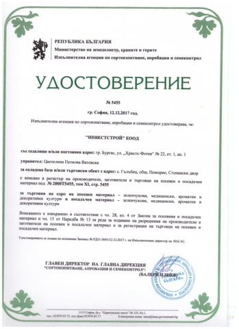 Продавам семена и разсад бял равнец сорт Проа , лайка, маточина - снимка 3