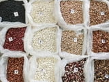 Sell varietal beans wholesale.