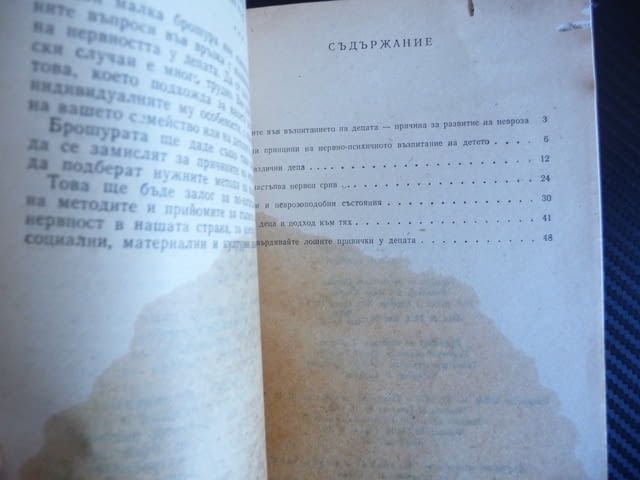 Защо детето става нервно Сергей Григориевич Файнберг трудни деца нервен срив - снимка 3