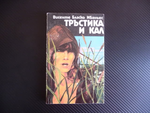 Тръстика и кал Висенте Бласко Ибаньес Златни класове евтини книги - снимка 1