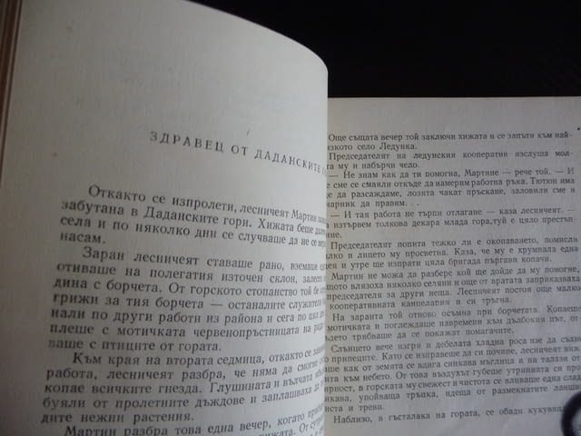 Хлапето Георги Мишев разкази за деца рядка книга автор писател - снимка 3