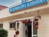 Ветеринарна клиника Ирвет, гр. Пловдив – компетентна грижа за Вашите любимци