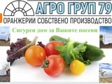 Полиетиленова оранжерия