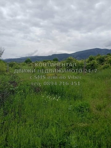 Кодг 62341. Запуснато лозе 1000м2, кат. 5-та до Винарската изба на АУ, на 200 метра от последните къ - снимка 2