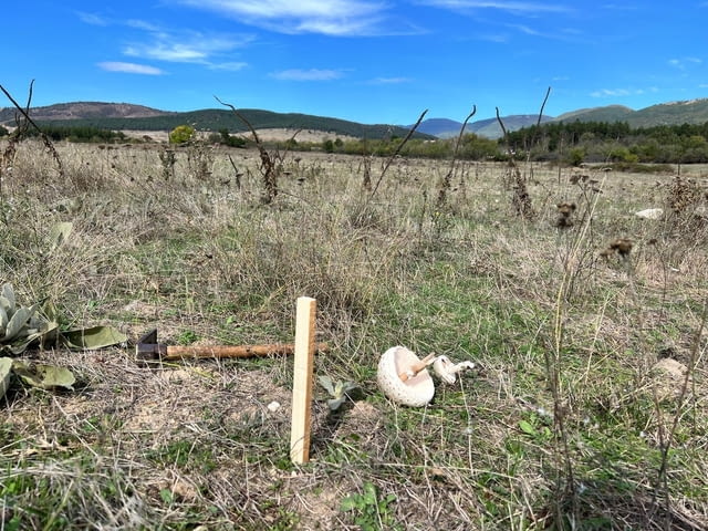 Парцел 1.6 дка на Главен Път Мъглиж - Казанлък 1600 m2, Land - city of Maglizh | Land - снимка 3