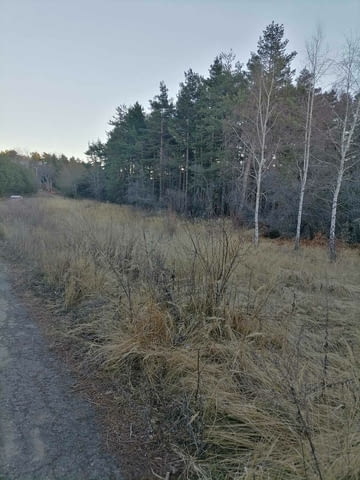 Парцел до хижа Здравец 1729 m2, For living - village Dobralak | Land