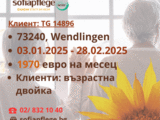 Болногледач за Wendlingen