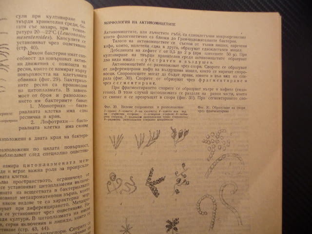 Ръководство за упражнения по микробиология морфология ферментация - снимка 3