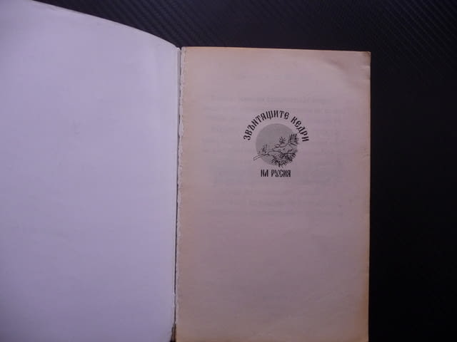 Анастасия Владимир Мегре книга 1 Звънтящите кедри на Русия, city of Radomir - снимка 2