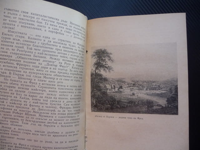 Фред или пролетта Опит за портрет Стефан Продев Енгелс, град Радомир | Художествена Литература - снимка 3
