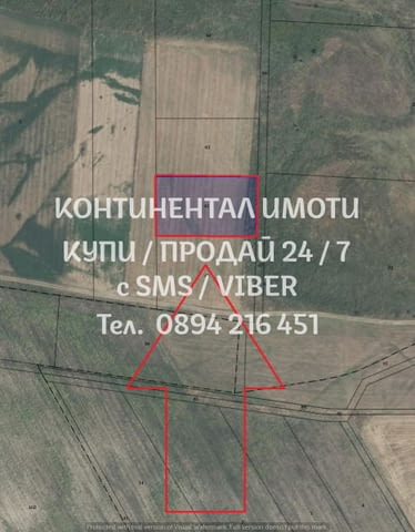 Код 62875. Две ниви обработваеми с обща площ около 10 дка. Продават се и оризище 9700м2, 3-та кат. - снимка 3