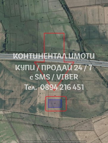 Код 62875. Две ниви обработваеми с обща площ около 10 дка. Продават се и оризище 9700м2, 3-та кат. - снимка 4