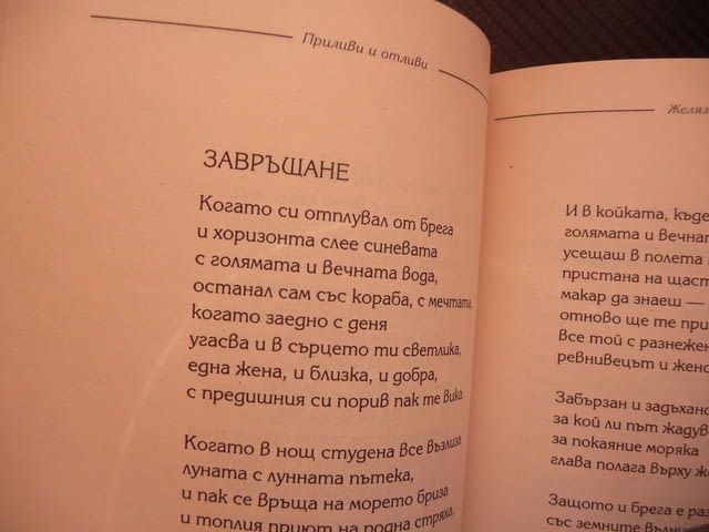 Приливи и отливи Желязко Тойчев стихотворения сонети шаржове, град Радомир - снимка 2