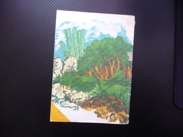 Том Сойер детектив Марк Твен Хъктлбери Фин Престъпление улики - снимка 4