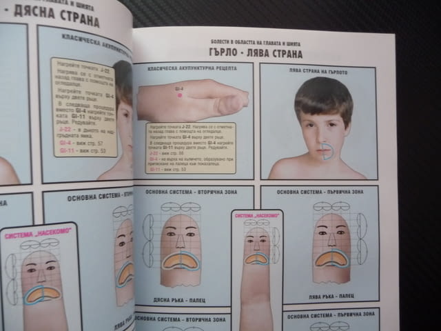 Су-джок и мокса Ръководство за самолечение Пламен Иванов терапия - снимка 2