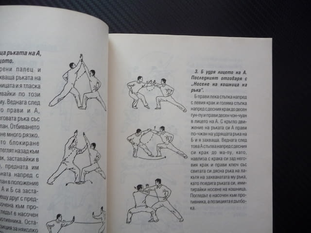 Нан Чуан Бей Туй. Южен юмрук, северен крак Шаолин У Шу техники - снимка 2
