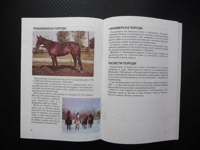Породи коне развъждани в република България дунавска плевенска - снимка 2