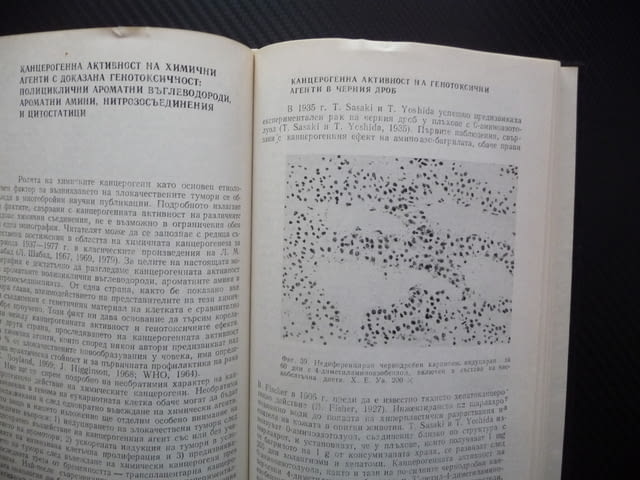 Увреждане на ДНК и рак Димитър Хаджиолов медицинска литература - снимка 2