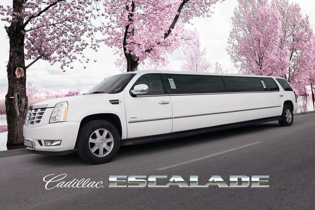 Лимузини под наем Пловдив, Пазарджик, Стара Загора, Хасково и Кърджали - снимка 1