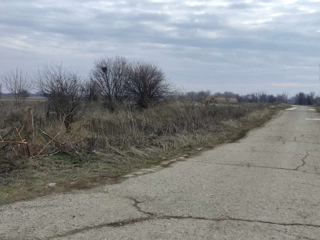 Продавам 14 603кв.м.четиринадесет декара и шесст стотин и три квадратни метра в село Скутаре близо д - снимка 7