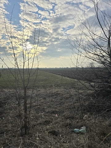 Парцел с лице на път срещу асфлатовата база в близост летище Пловдив - снимка 4
