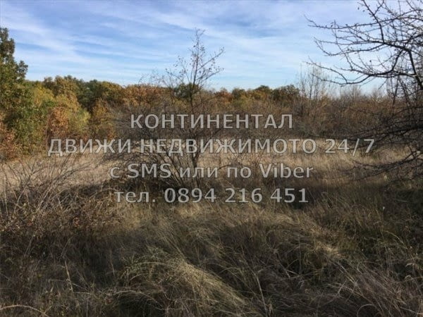 Кодг 62060. Нива 19600м2, кат. 9-та. Намира се на 200 метра от северния язовир, на около километер о - снимка 5