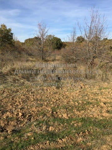 Кодг 62060. Нива 19600м2, кат. 9-та. Намира се на 200 метра от северния язовир, на около километер о - снимка 6